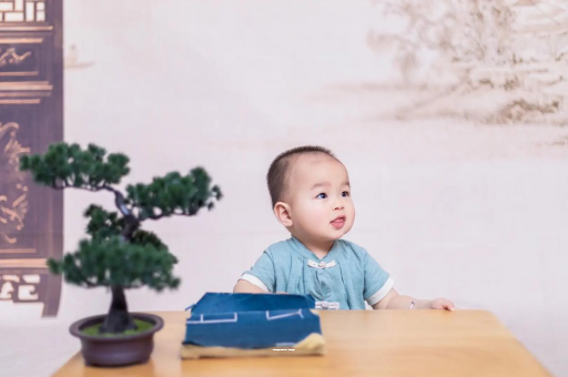 大竹八个月宝宝零食